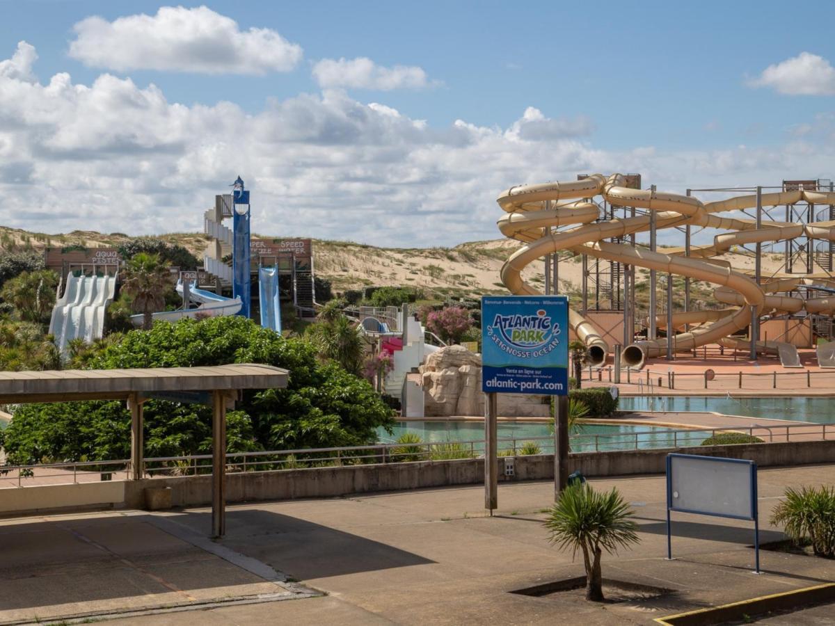 Studio Renove Face A La Dune, Proche Plage Et Commerces, Ideal Pour 2 Personnes - Fr-1-239-150 Seignosse Eksteriør billede